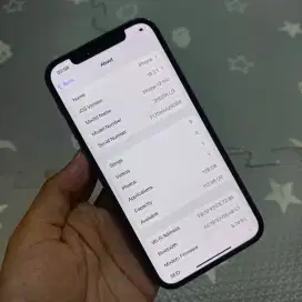 Iphone 12 Pro 128GB Mulus Normal