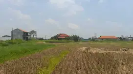 Tanah Sawah Di Pasilian Kronjo,Tangerang-Dekat Samsat Kronjo