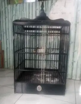 Kandang Ebod no 3