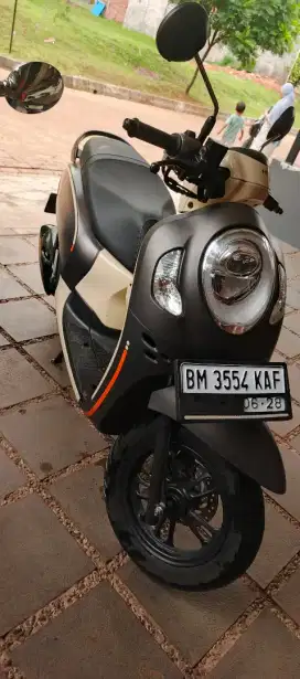 Scoopy fashion brown th 2023