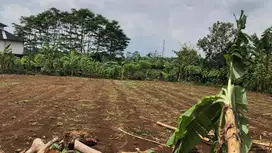 Jual Tanah Bagus di Dekat Perumahan Rancamaya Golf Estate 1 Jutaan