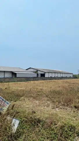 Murah Tanah KAWASAN Ngoro Pungging industri DI MOJOSARI, MOJOKERTO