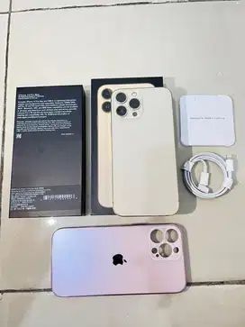 Iphone 13 pro max 256gb