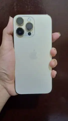 iphone 14 pro max 256gb inter all.operator gold