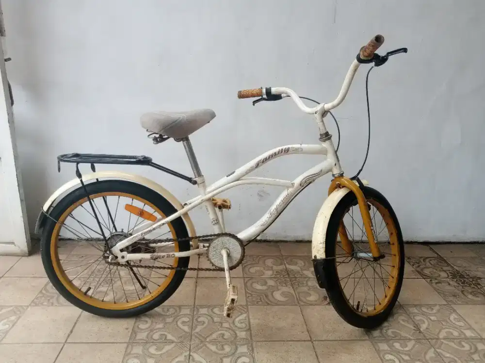 Sepeda anak family 20