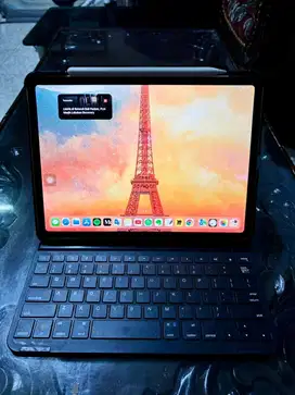 Ipad Pro 11 256GB WIFI Ex IBOX