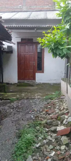 Disewakan Rumah Minimalis