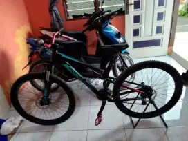 Sepeda Polygon Raze 3