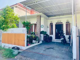 disewakan atau dijual rumah pribadi