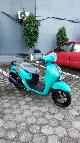 Fazzio Neo FULL GRESS