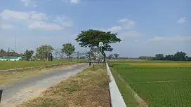 Tanah sawah mangku jalan utama di tlobong delanggu
