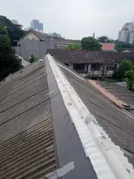 Jasa perbaikan atap bocor,renovasi rumah,buat taman,pagar,kanopi dll