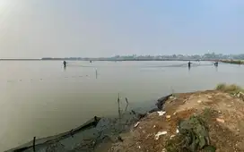 Jual tambak di karawang