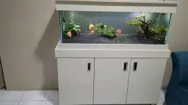 Meja dan Aquarium