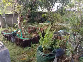 Dijuat tanpa perantara