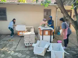 Ready Stock Sepanjang Tahun Durian Beku Jogja
