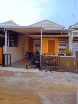 Kanopi Alderon eksotis