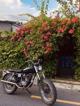 British custom gl