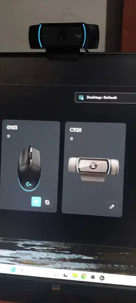 Webcam Logitech C920 Unit Only