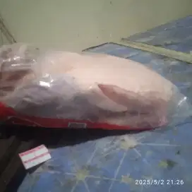 Bebek frozen mantapp