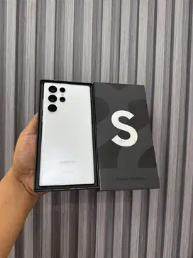 Samsung s22 ultra 12/512 sein mulus