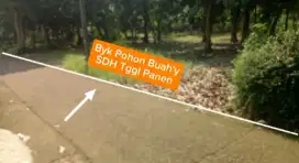 JUAL TANAH STRATEGIS NEMPEL JLN MOBIL BYK POHON BUAHNYA