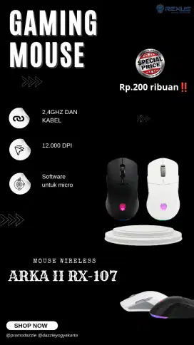 Mouse rexus ARKA II