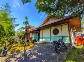 Di jual vila sangat mewah type jepang lokasi kota bunga Cipanas puncak