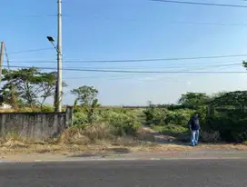 Tanah Murah Padat di Jalan Pantura Pangenan
