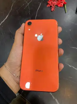Iphone XR 256GB Orange