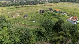 Freehold Land for Sale – 24.5 Are in Kaba-Kaba, Kediri – Tabanan