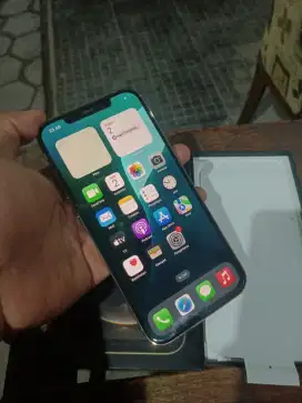 Iphone 12 ProMax 256gb ibox Mulus No minus