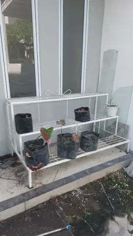 Rak Bunga 3 tgkt