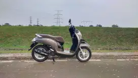 Honda Scoopy stylish 2020