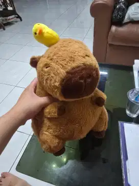 Obral Murah Boneka Capybara Original