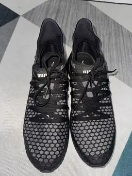 Puma ignite Limitless Netfit Black