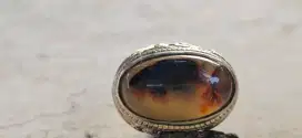 Batu akik unik,gambar ikan,tembus