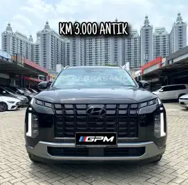Hyundai Palisade Signature 2023/ 2024 KM 3rb ANTIK