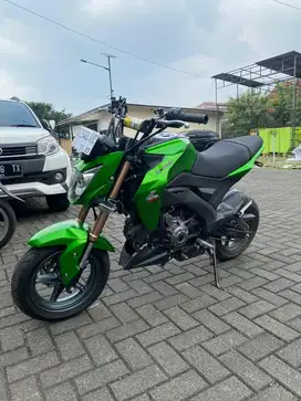Kawasaki Z125 Pro