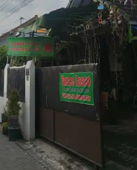 Terapi Terkenal Indonesia Yance Lasso ahli pengobatan stroke di yogya