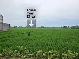 B.U  tanah sawah dekat jalan raya di jual murah