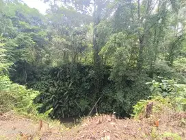 Tanah view Sungai dan Jungle di Kenderan dekat Ubud Bali