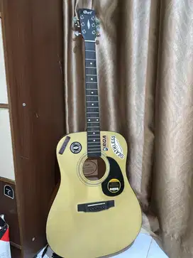 Guitar Cort Custom
