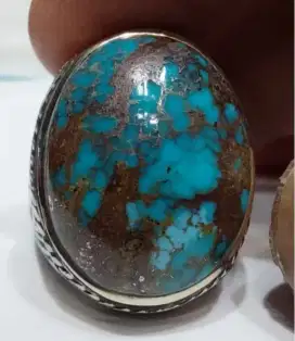 Natural pirus persia