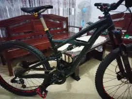 Specialized Enduro Mulusss Spec Oke