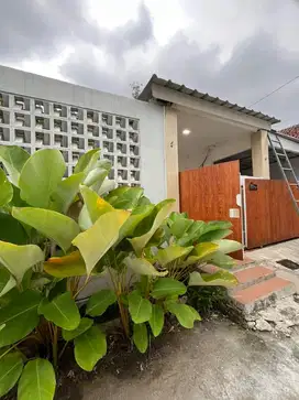 Dijual cepat / diSEWAkan rumah baru renov