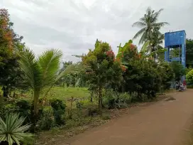 Dijual Tanah Strategis di Cluwak Pati