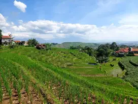 Tanah sawah view bagus tegalmanggung parakam muncang