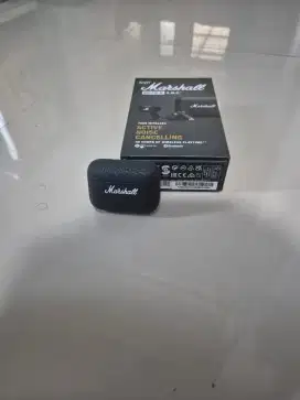 TWS Marshall Motif II A.N.C