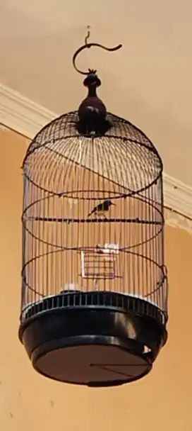 Burung kecil plus kandang